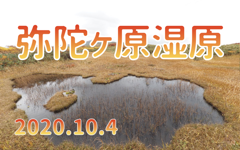 2020.10.4 弥陀ヶ原湿原-色づく山と湿原-