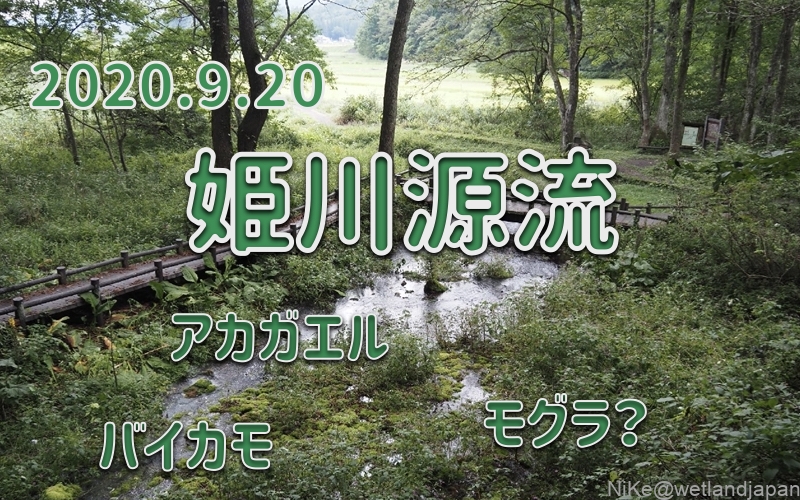 2020.9.20 姫川源流自然探勝園-国道沿いの名水100選-