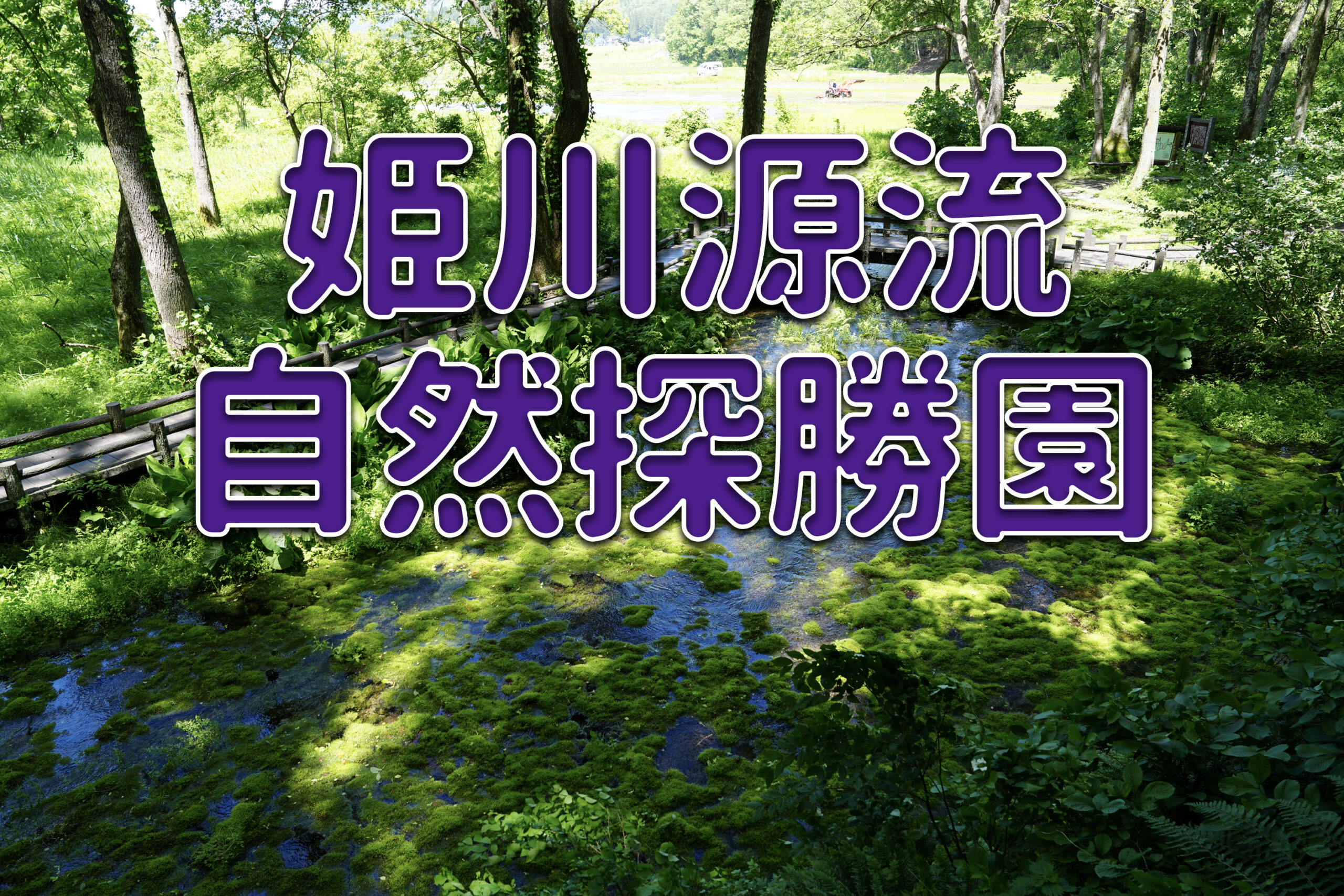 姫川源流自然探勝園に行ってみよう！