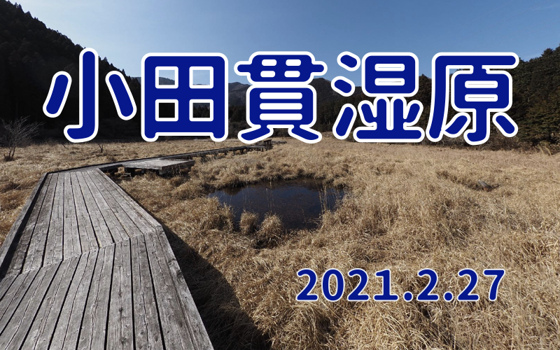 2021.2.27 小田貫湿原-富士山を一望できる湿原-