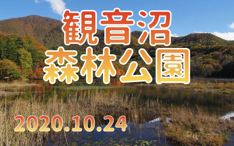 2020.10.24 観音沼森林公園-紅葉に染まる沼-