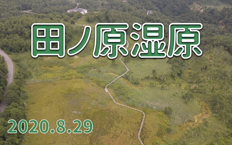 2020.8.29 田ノ原湿原-志賀高原の観光湿原-