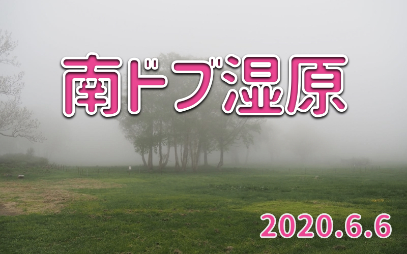 2020.6.6 南ドブ湿原-霧に包まれる小湿原-