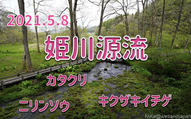 2021.5.8 姫川源流-芽吹きの季節-