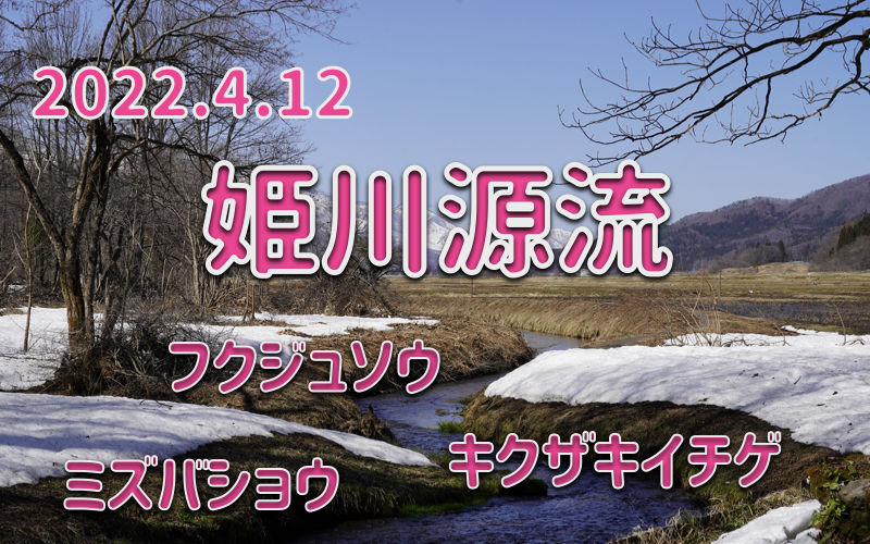 2022.4.12 姫川源流-雪が残る美しい源流-