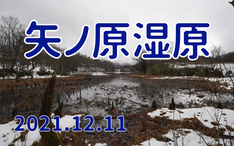 2021.12.11 矢ノ原湿原-静かな冬の湿原-