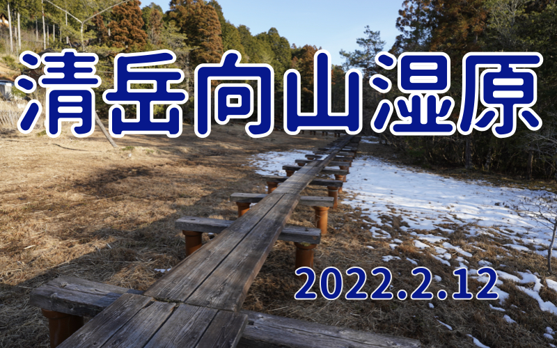 2022.2.12 清岳向山湿原