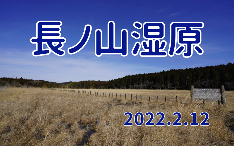 2022.2.12 長ノ山湿原-東海最大の湿原-