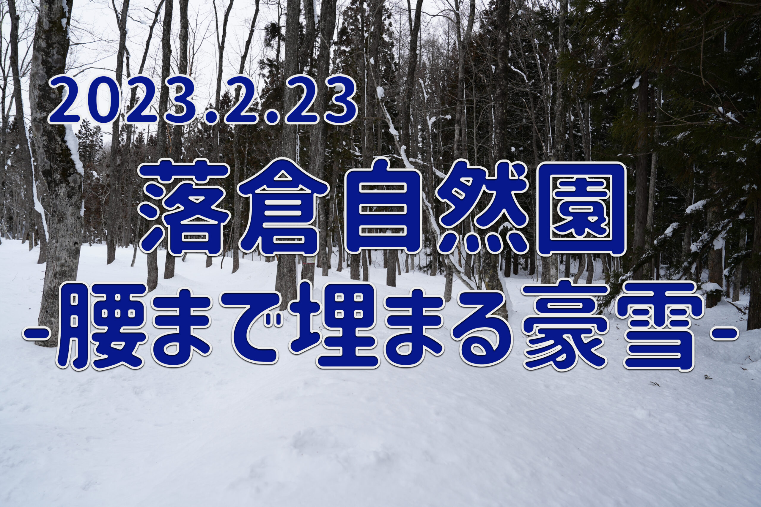 2023.2.23 落倉自然園-腰まで埋まる豪雪-