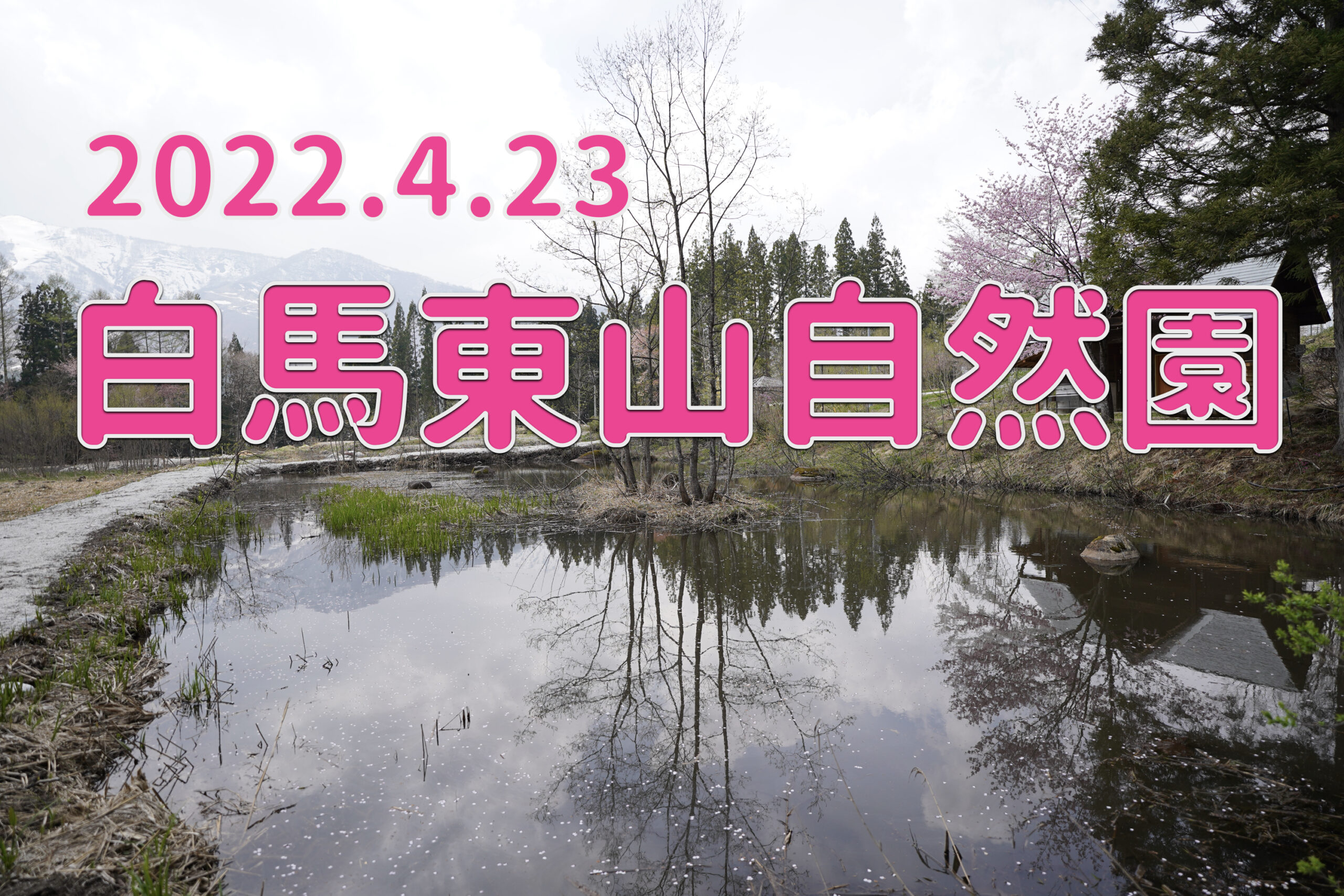 2022.4.23 白馬東山自然園　探索