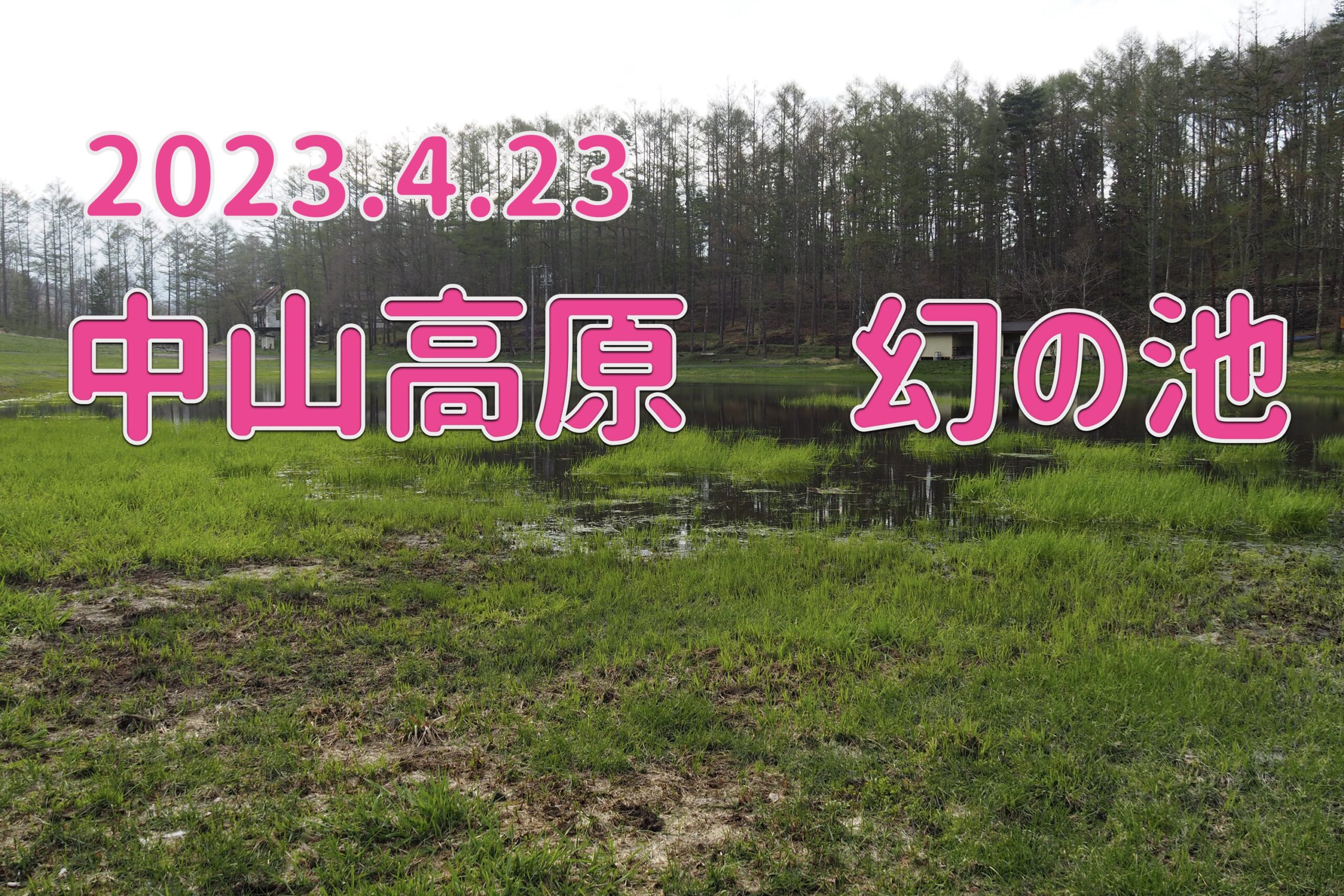 2023.4.23 中山高原 幻の池-春に現れる神秘的な池-