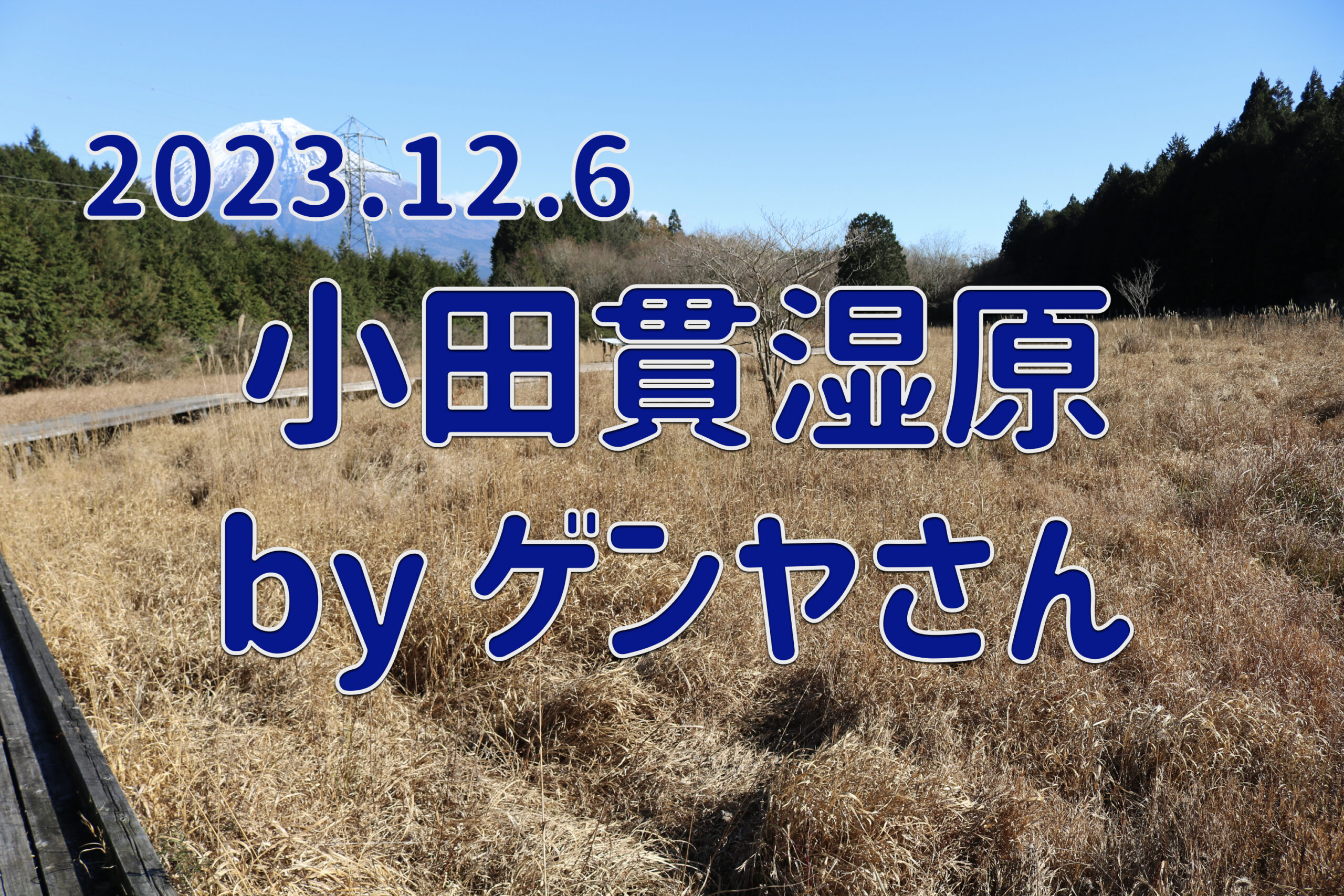 2023.12.6 小田貫湿原 by ゲンヤさん