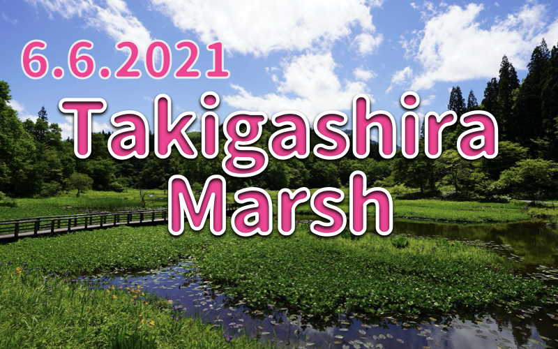 6.6.2021 Takigashira Marsh - The Best Marsh View-