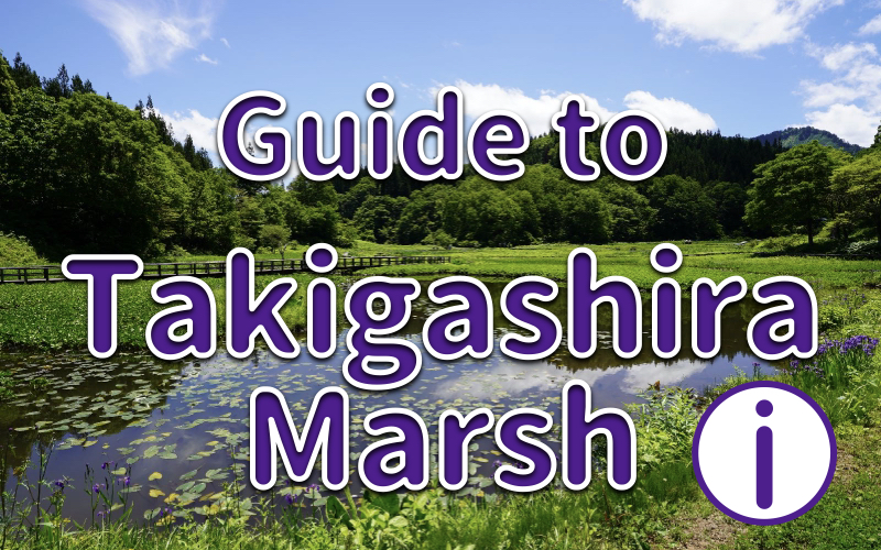 Guide to Takigashira Marsh!