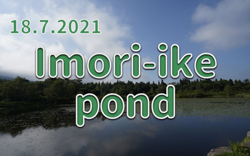 18.7.2021 Imori-ike pond -pond in full bloom