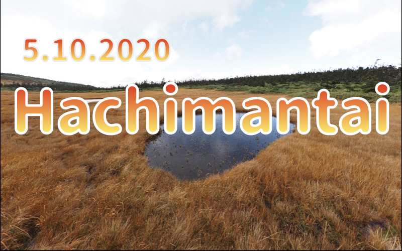 5.10. 2020 Hachimantai, vast grass foliage