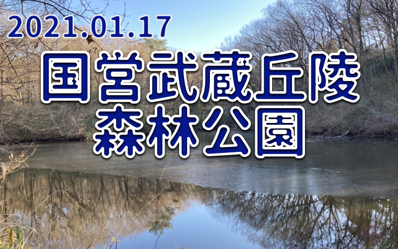 2011.1.17 国営武蔵丘陵森林公園（南部）