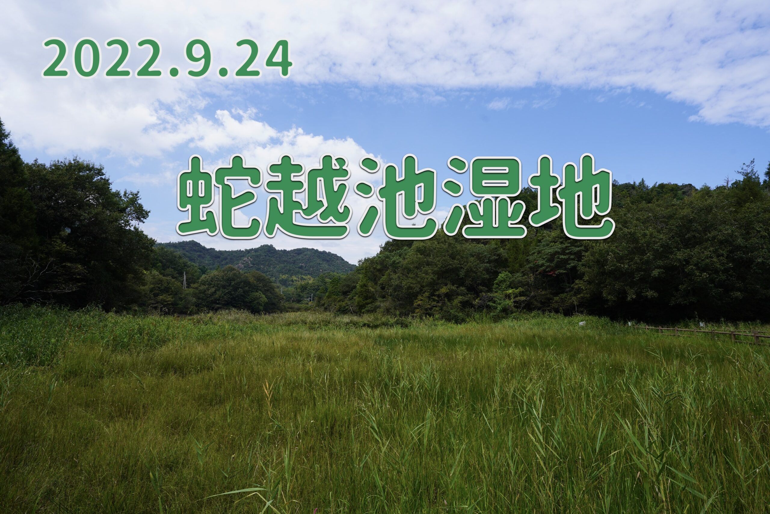 2022.9.24 蛇越池湿地 / 医王池湿地-貴重な四国の湿地帯-